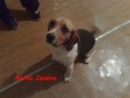 /album/rodicia/matka-jessina-1-jpg/